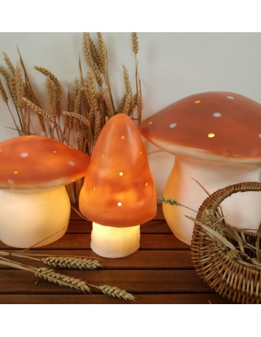 Lampe champignon moyen terra  - Veilleuse Voir les baskets