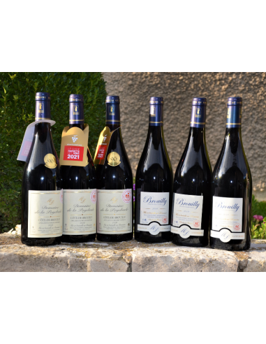 Coffret vin du Beaujolais 6 bouteilles rouge AOC Brouilly Découvrez la collection