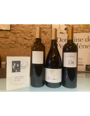 Coffret vin du Languedoc 3 bouteilles rouge et blanc AOC Saint Chinian prix pour 