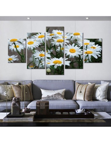 Tableau fleurs marguerites 2024